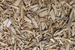 biomass boilers Birchgrove